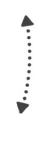 100x300 png elements /25.png 100x300 png elements /25.png